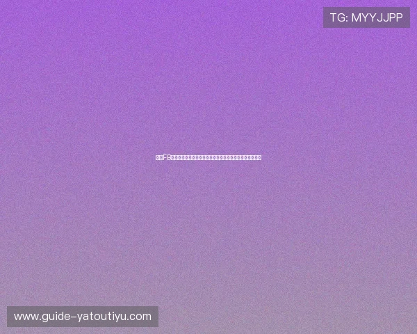 优化FB体育维护流程实现世界杯专题内容高效更新提升网站访问量