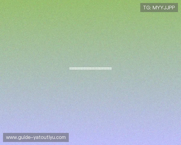全面了解半岛综合体育入口提供的丰富体育资讯与赛事分析内容